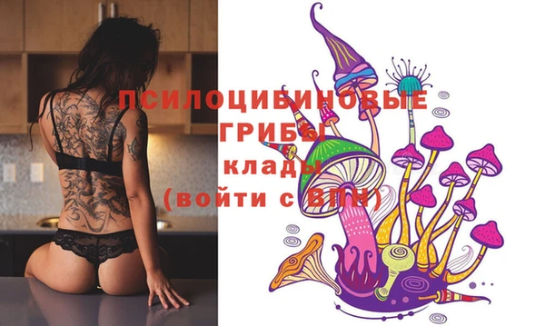 Альфа ПВП Абдулино