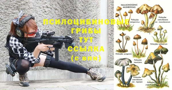 Альфа ПВП Абдулино