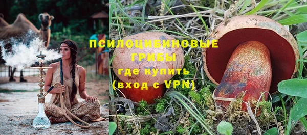 винт Абаза
